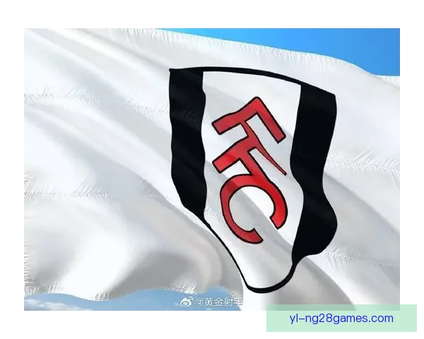 富勒姆尚未报价曼城小将 鲍勃多特有意